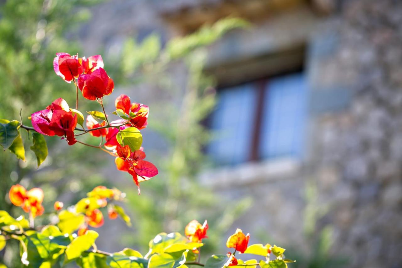 Filia Stone Villa Gouvia Dış mekan fotoğraf